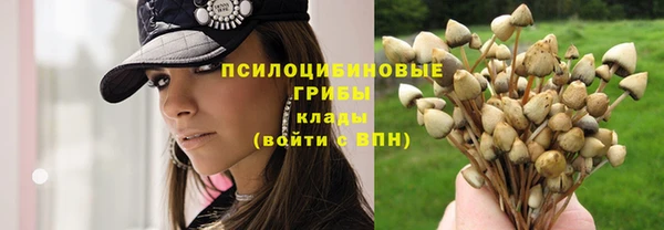 бутират Балабаново
