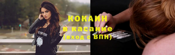 мяу мяу мука Баксан