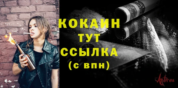 мяу мяу мука Баксан