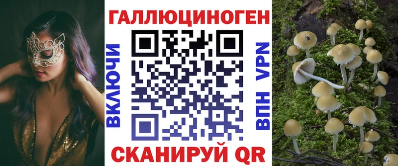 Псилоцибиновые грибы прущие грибы  Белинский 